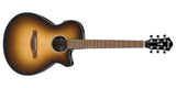 Ibanez AEG50 Acoustic Electric Guitar