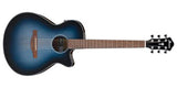 Ibanez AEG50 Acoustic Electric Guitar